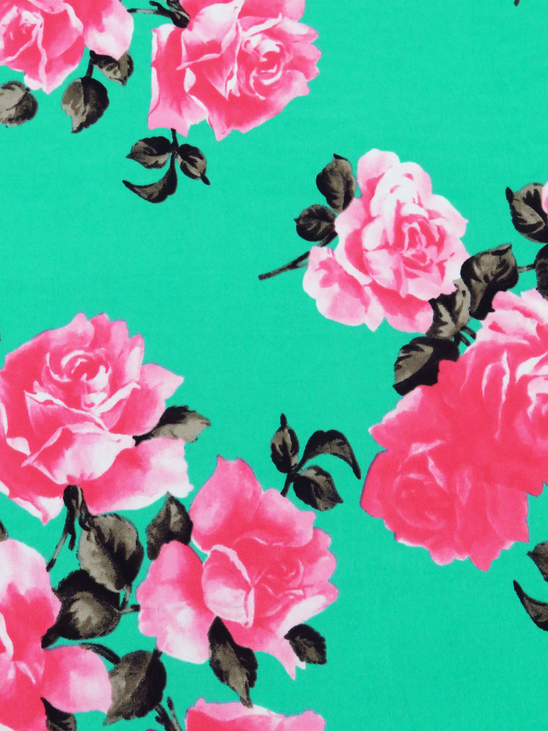 Caribbean Green/Fiery Rose/Black/Multi Polyester/Lycra Rose Print ITY Knit 56W