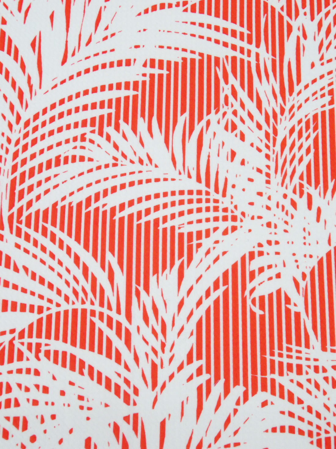 Cinnabar/White Polyester/Lycra Palm Leaf On Vertical Stripe Print Liverpool Knit 56W