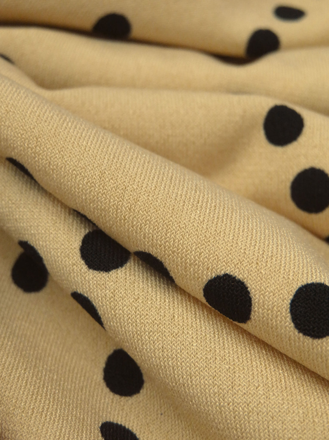 Earth Yellow/Black Polyester/Lycra Dotted Loops Print ITY Knit 58W