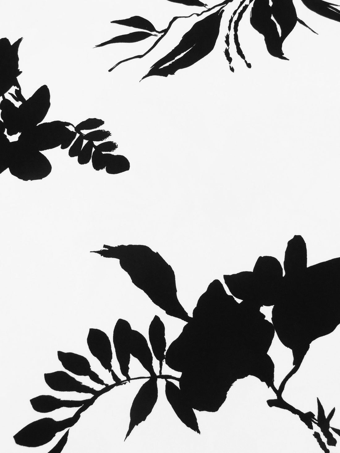 Snow White/Pitch Black Polyester/Lycra Silhouette Floral Print ITY Knit 60W