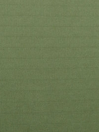 Verdun Green 100% Polyester Faint Shadow Stripe Performance Grid Activewear Knit - Polartec - 60W