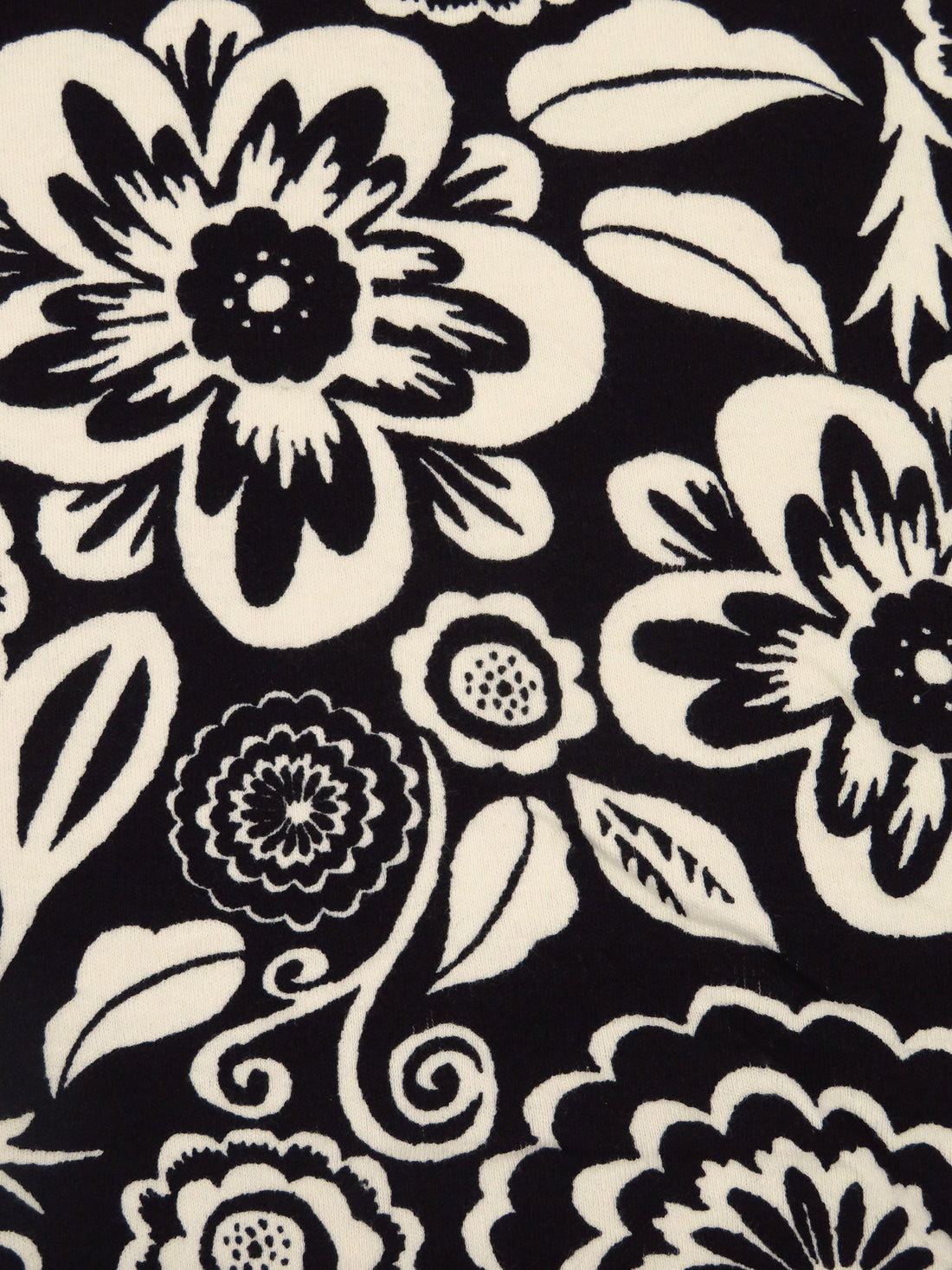 Black/Buttercream 100% Cotton Abstract Floral Print Interlock Knit 57W