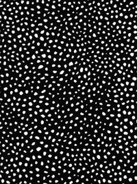 Black/White 100% Polyester Scattered Abstract Dot Print Peachskin Blouse Weight Woven - Imported From Italy - 58W