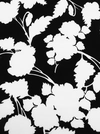 Black/White 100% Rayon Floral Silhouette Print Challis 44W