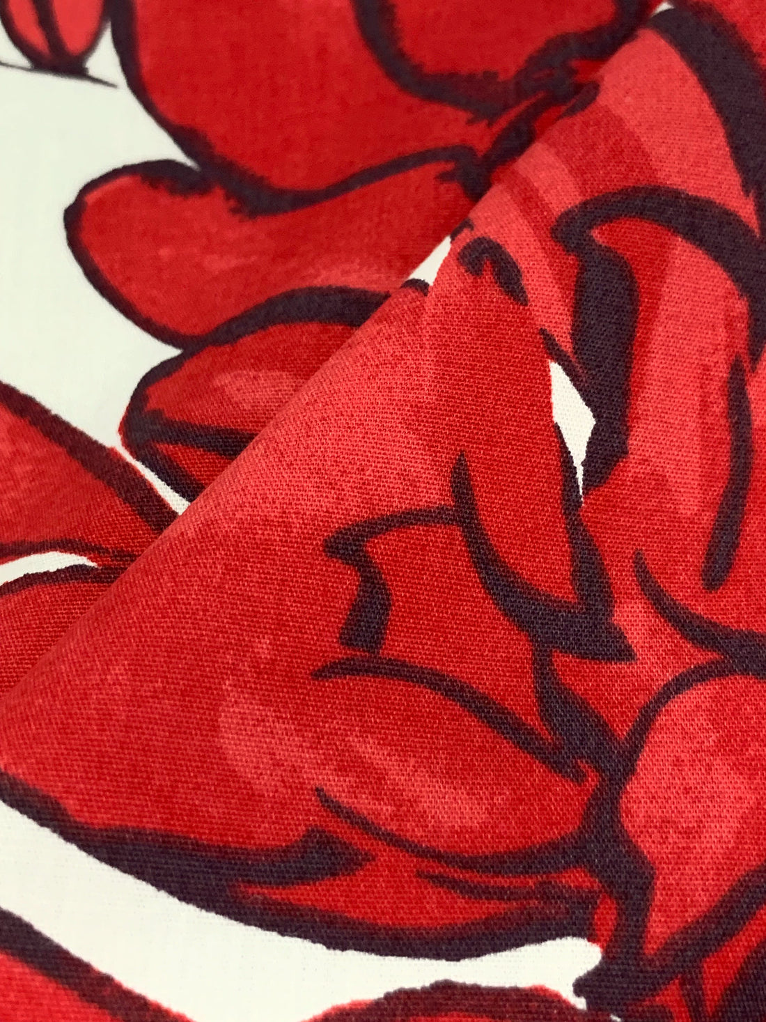 Pale Eggshell/Venetian Red 100% Cotton Floral Print Poplin Shirting 58W