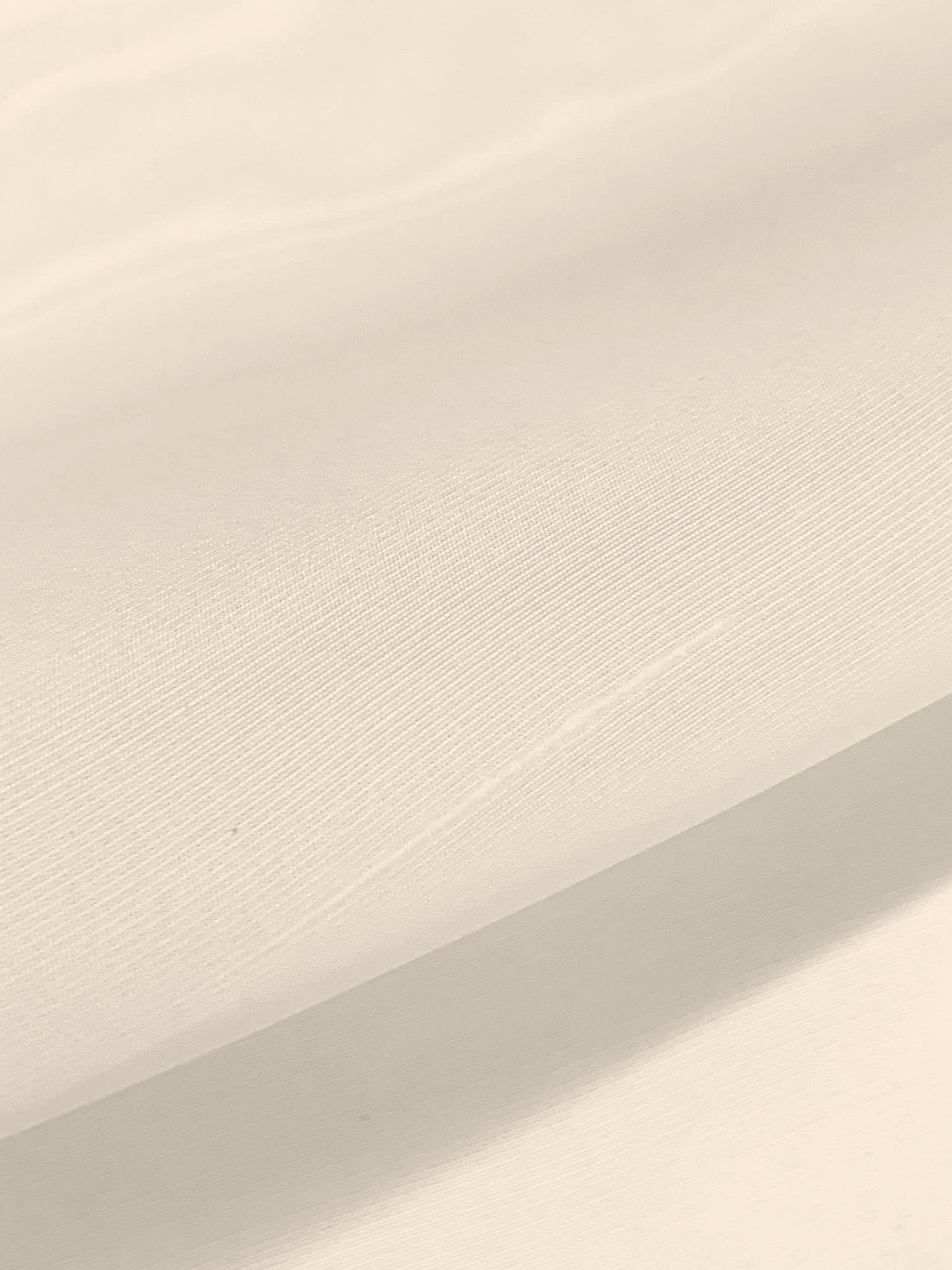 Ivory 100% Silk Slubbed Organza 60W