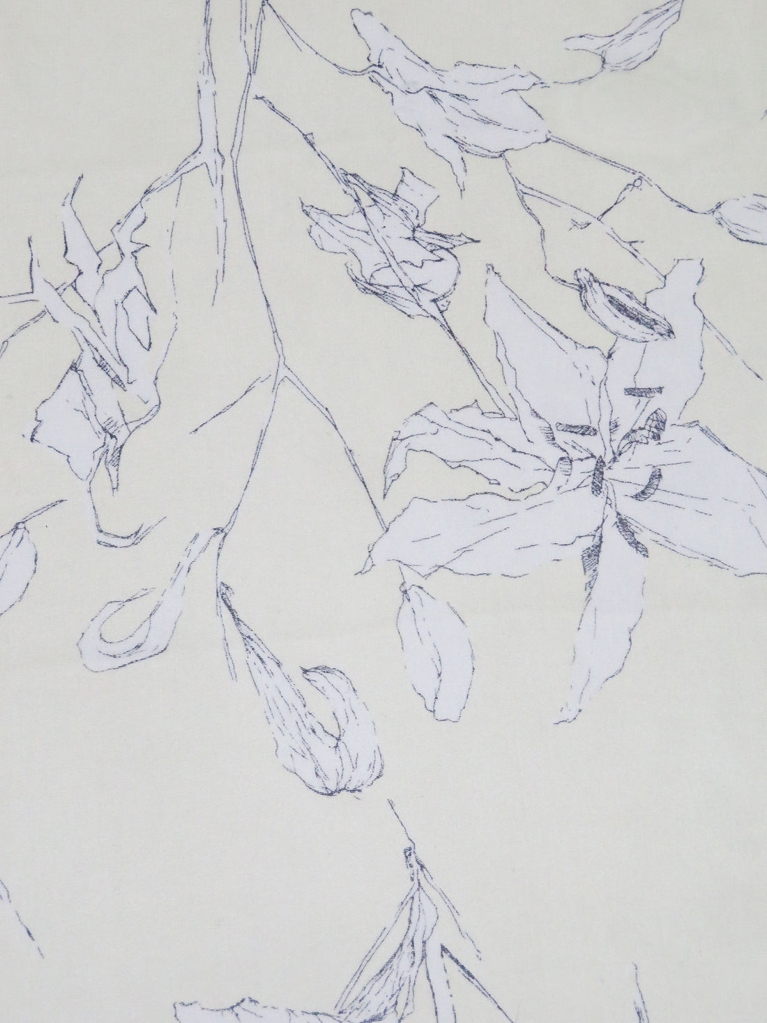 Pale Yellow/White/Black 100% Silk Large Floral Stem Print Chiffon - Ralph Lauren - 44W