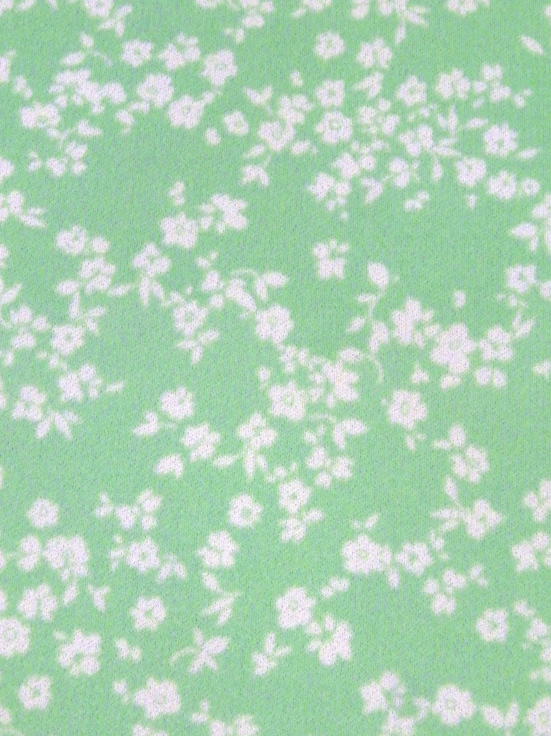 Celadon/White Polyester/Lycra Silhouette Floral Print Crepe Knit 56W