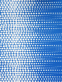 French Blue/White Polyester/Lycra Large Dotted Double Border Print Scuba Knit 56W