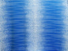 French Blue/White Polyester/Lycra Large Dotted Double Border Print Scuba Knit 56W