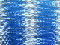French Blue/White Polyester/Lycra Large Dotted Double Border Print Scuba Knit 56W