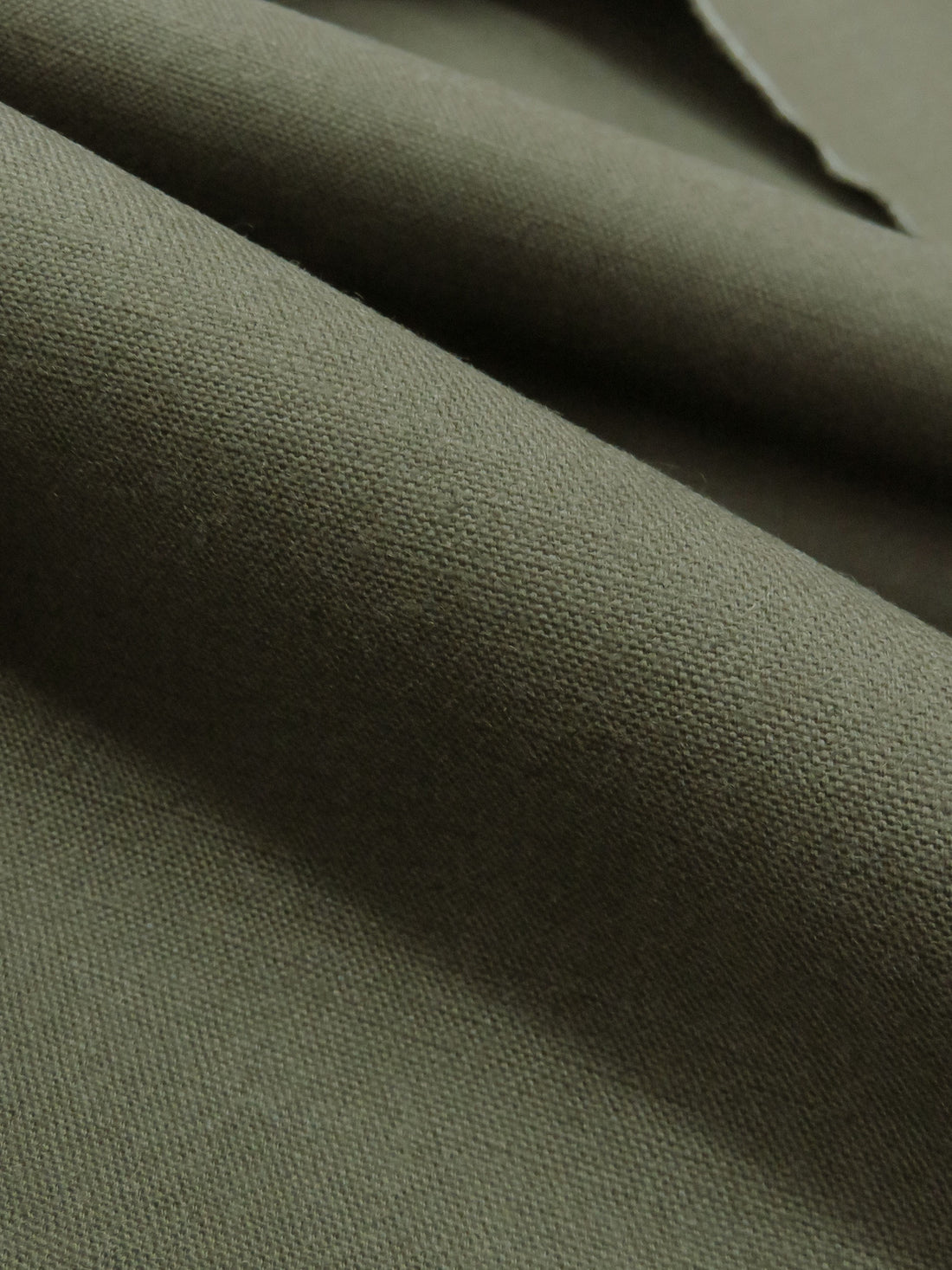 Artichoke 100% Cotton Canvas Suiting 62W