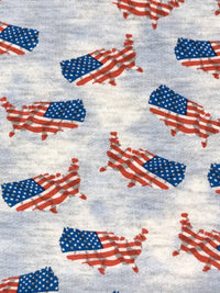 Light Steel Blue/Red/Pale Gray Polyester/Rayon/Lycra U.S.A. Country Flag Print French Terry Knit 56W