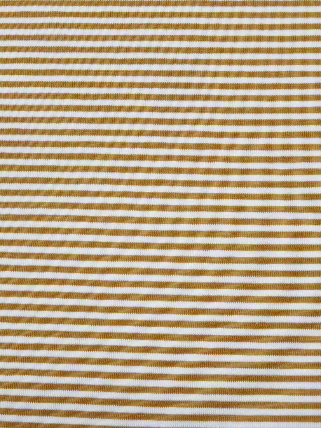 Golden Brown/White Cotton/Lycra Horizontal Stripe Print Jersey Knit 66W