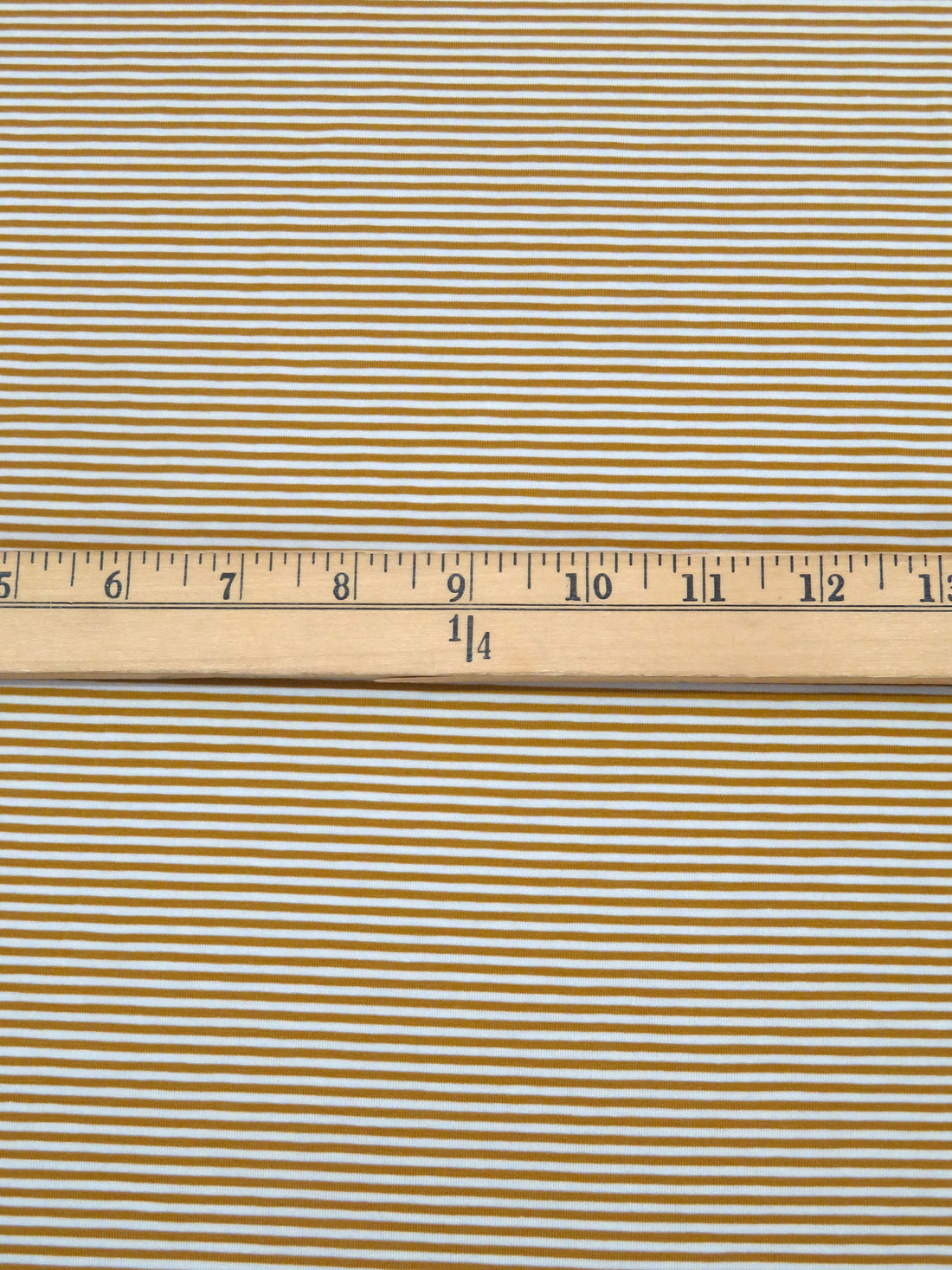 Golden Brown/White Cotton/Lycra Horizontal Stripe Print Jersey Knit 66W
