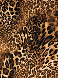 Golden Brown/Black/Wheat Polyester/Lycra Animal Print Double Brushed Rib Knit 54W