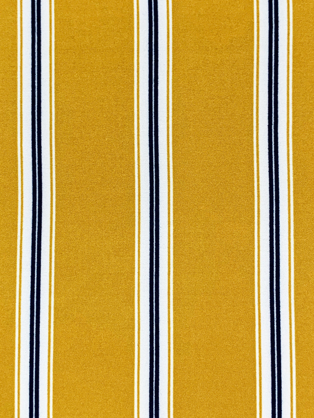 SOLD AS IS ONLY - Goldenrod/Midnight Navy/White Polyester/Lycra Vertical Stripe Print Double Brushed Knit 60W