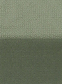 Sage 100% Polyester Power Air Grid Double Knit - Polartec - 64W