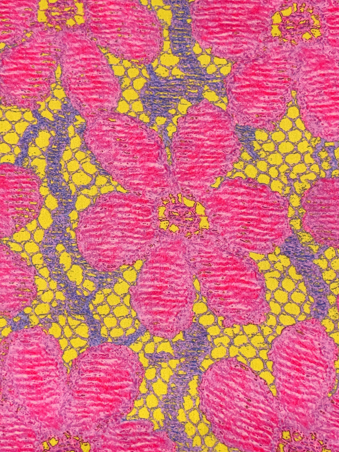 Fandango Pink/Lavender Purple/Dark Lemon Lime 100% Cotton Novelty Floral Lace Look Print Sateen Shirting 56W