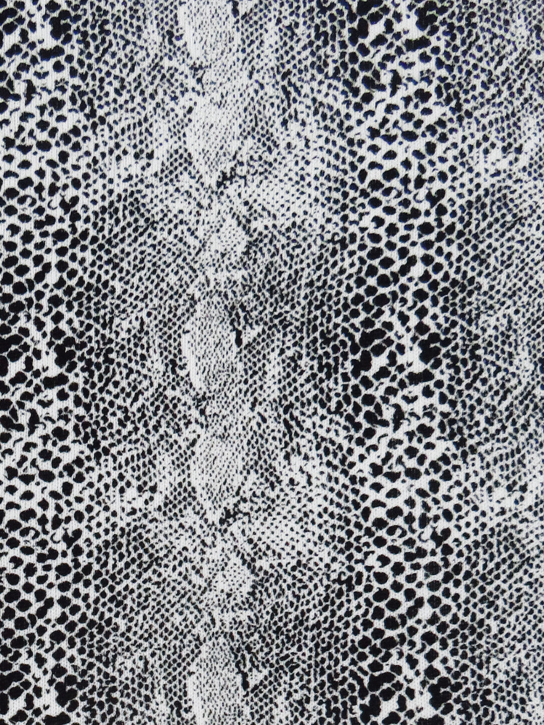 Black/White Cotton/Polyester Small Snakeskin Print Brushed Back Sweater Knit 56W