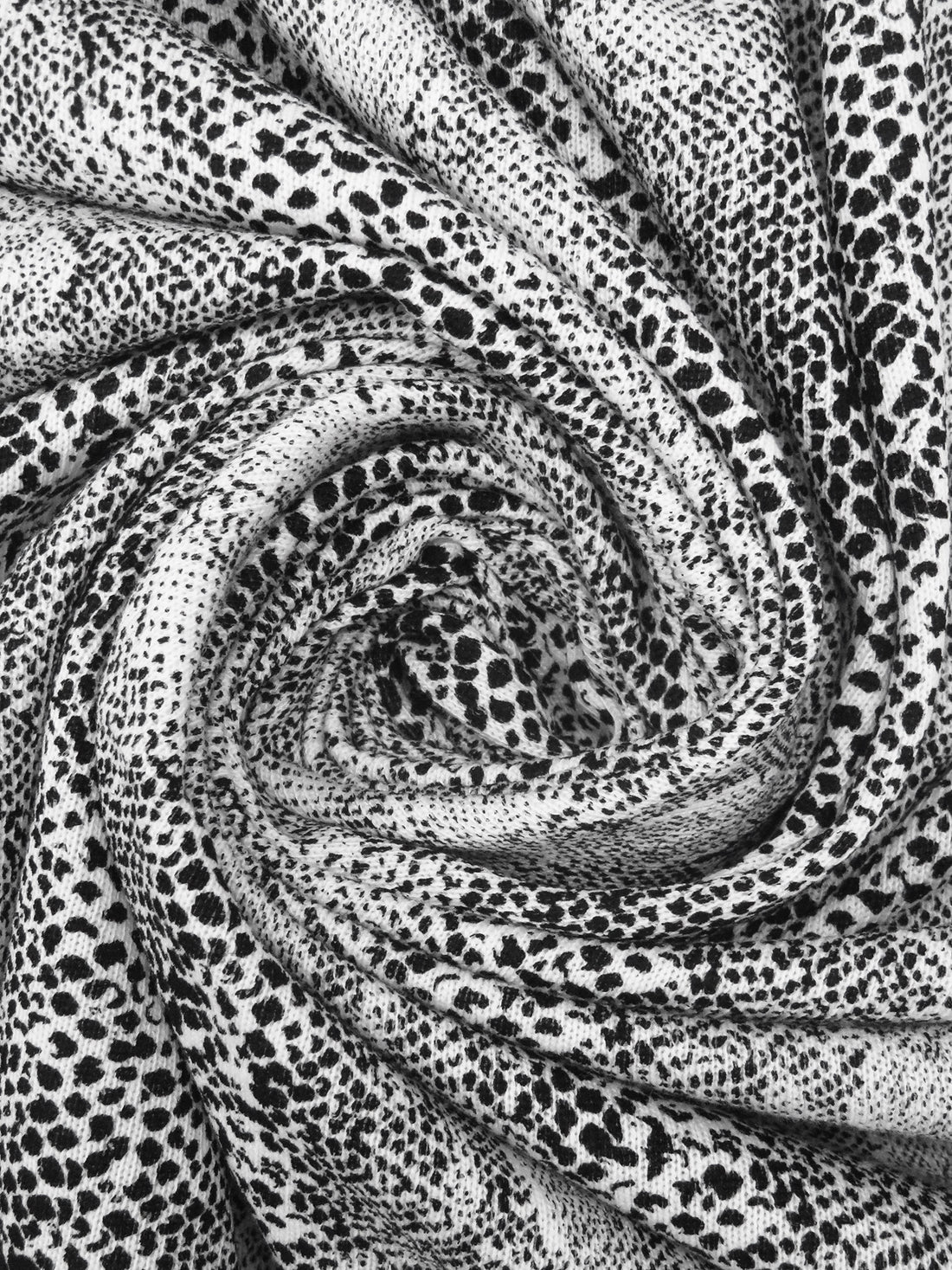 Black/White Cotton/Polyester Small Snakeskin Print Brushed Back Sweater Knit 56W