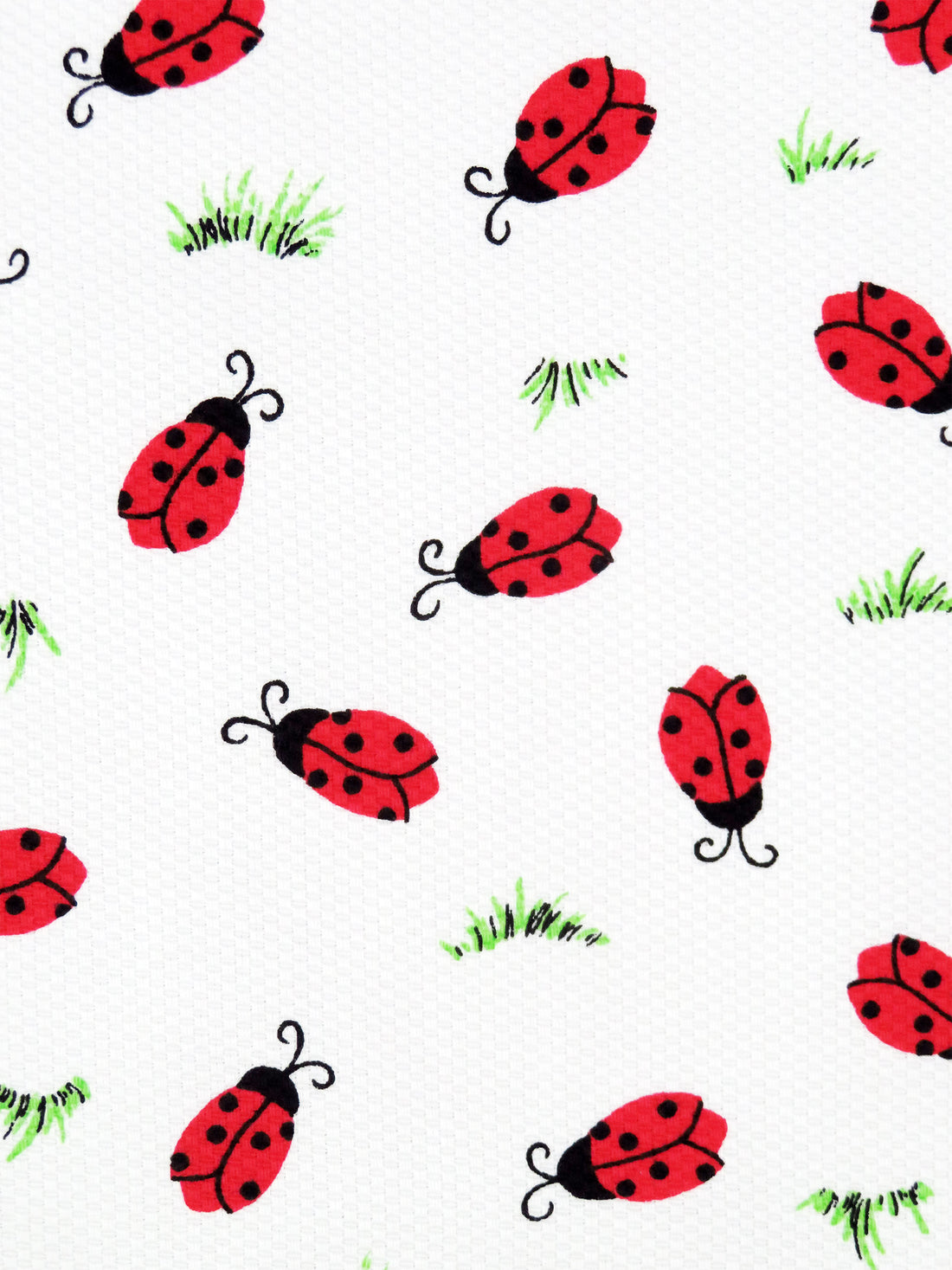 White/Racing Red/Spring Green/Black Cotton/Polyester Ladybug Print Pique Shirting 59W