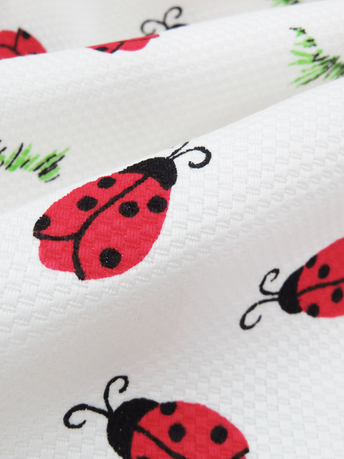 White/Racing Red/Spring Green/Black Cotton/Polyester Ladybug Print Pique Shirting 59W