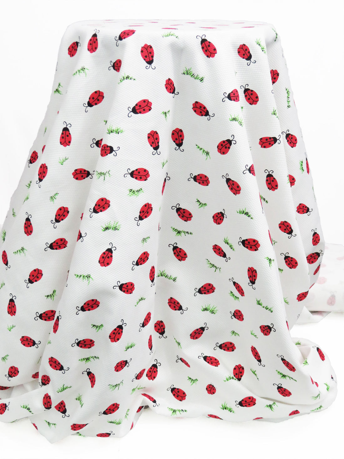 White/Racing Red/Spring Green/Black Cotton/Polyester Ladybug Print Pique Shirting 59W