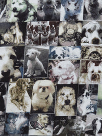 Sepia/Pale Gray/Olive/Multi Rayon/Lycra Dog Photo Collage Print Jersey Knit - Imported From Italy - 52W