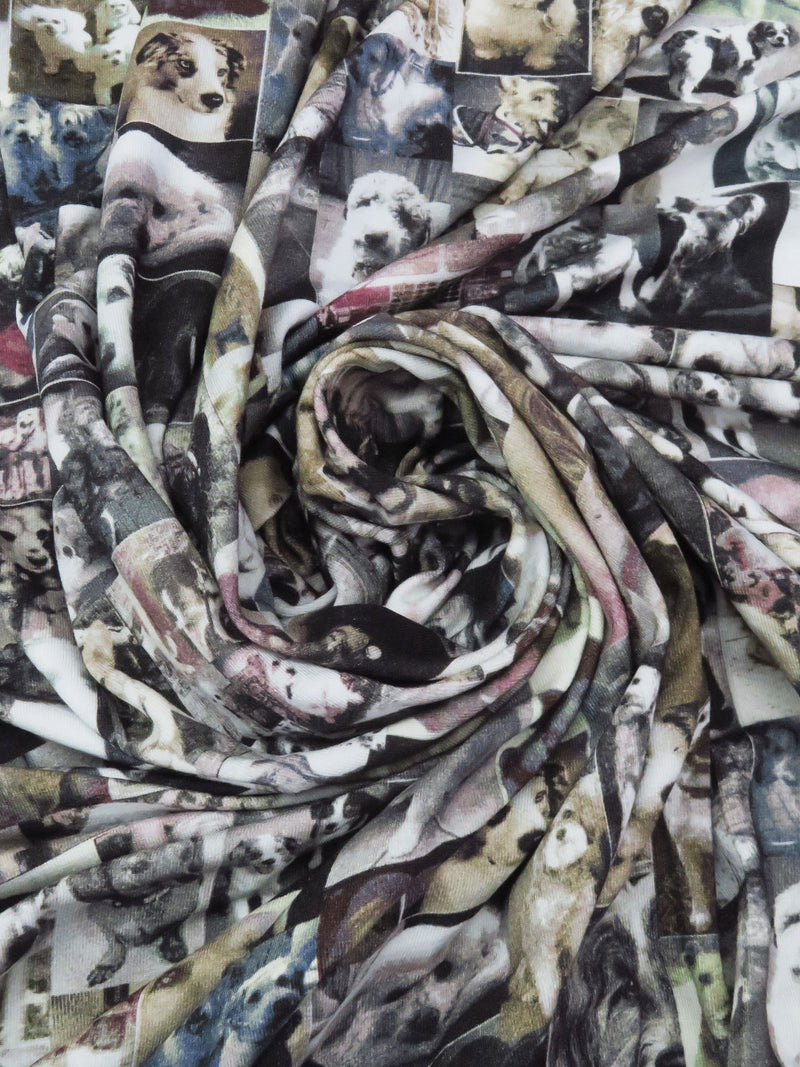 Sepia/Pale Gray/Olive/Multi Rayon/Lycra Dog Photo Collage Print Jersey Knit - Imported From Italy - 52W