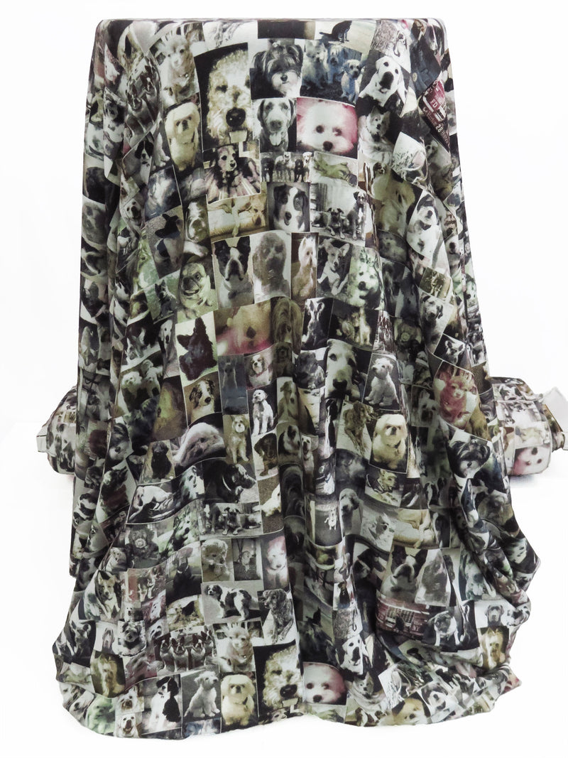 Sepia/Pale Gray/Olive/Multi Rayon/Lycra Dog Photo Collage Print Jersey Knit - Imported From Italy - 52W