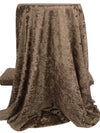 Shadow Brown Polyester/Lycra Crushed Stretch Velvet Knit 56W
