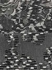 Bright Silver/Black 100% Polyester Floral Eyelash Jacquard Woven 54W