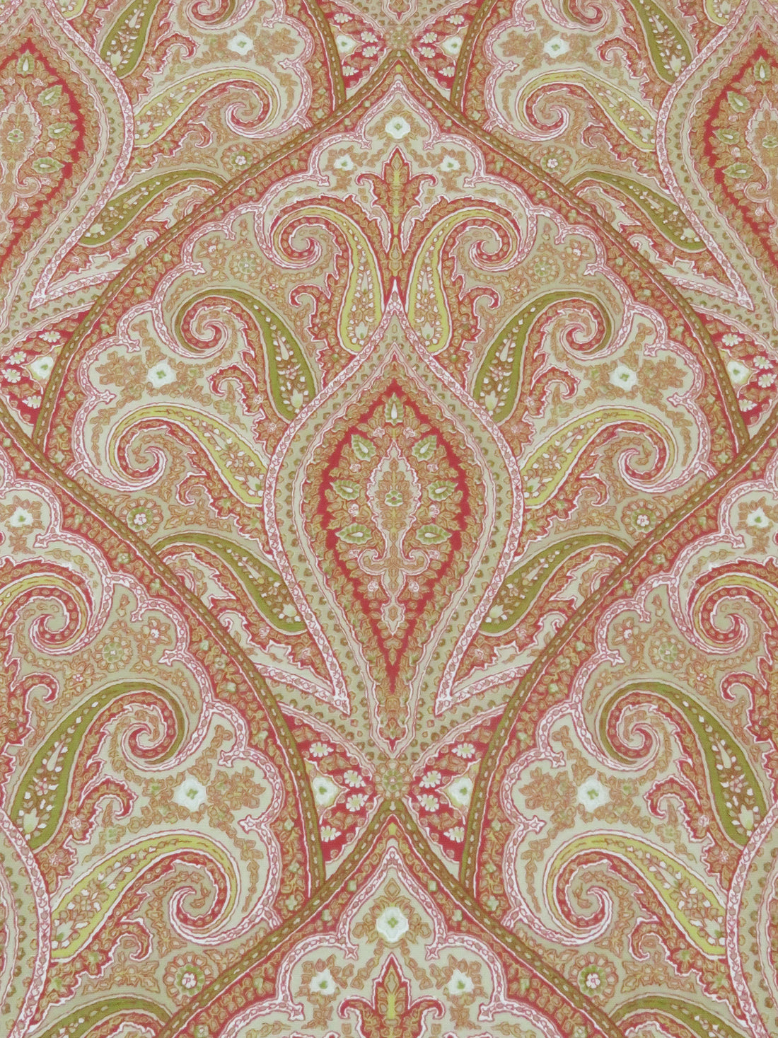 Pistachio/Muted Brick Red/Avocado/Multi 100% Cotton Ornate Paisley Print Canvas