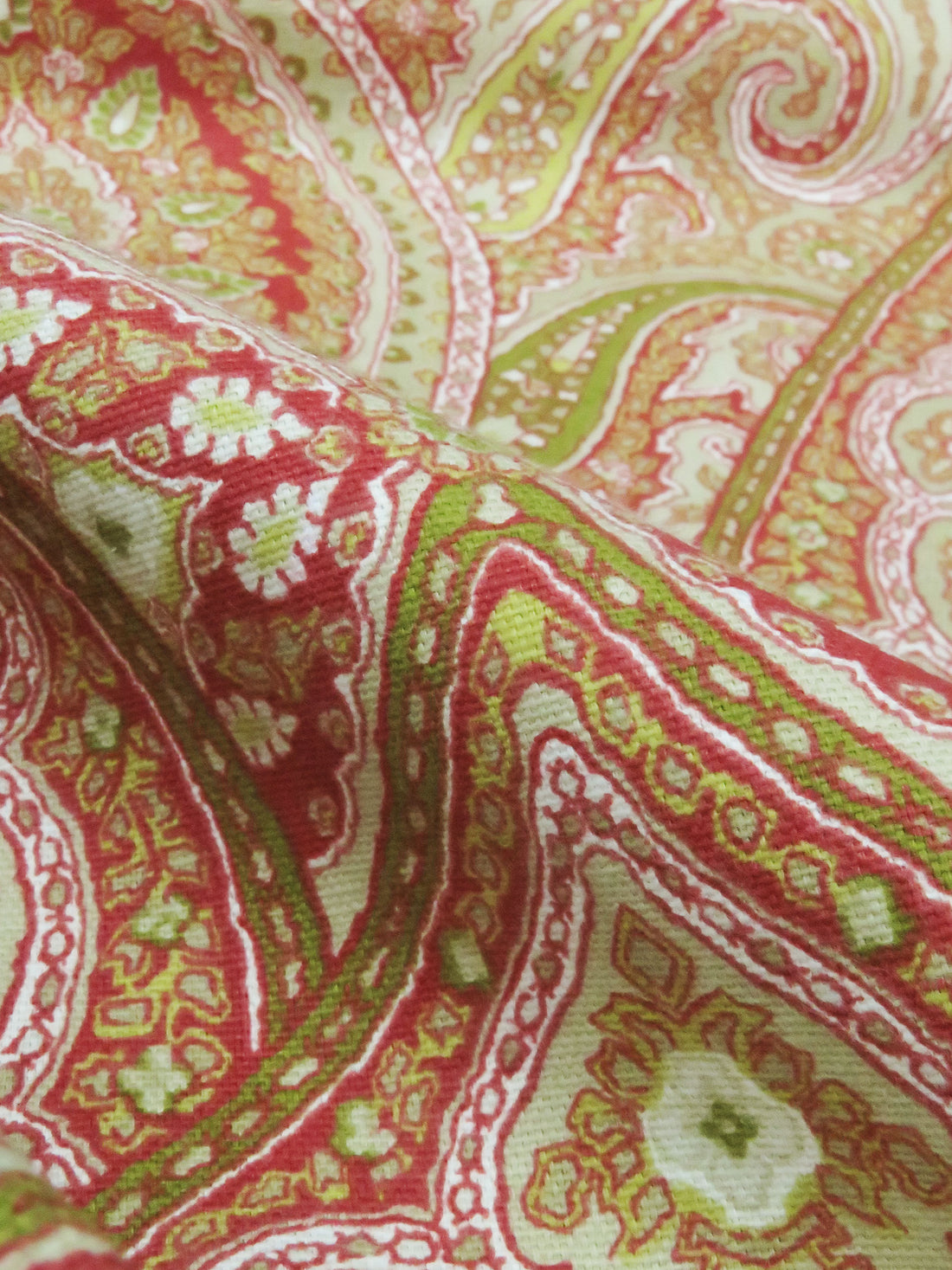 Pistachio/Muted Brick Red/Avocado/Multi 100% Cotton Ornate Paisley Print Canvas