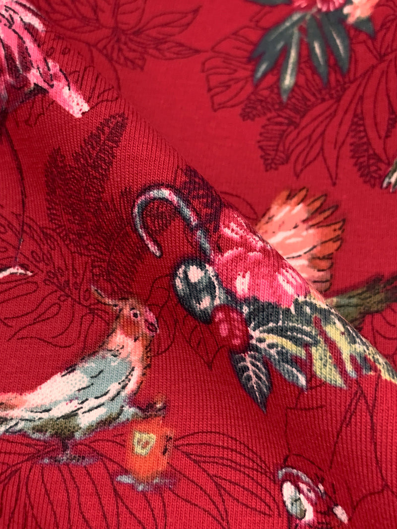 Cardinal Red/Teal Blue/White Organic Cotton/Lycra Exotic Bird Print Jersey Knit - NY Designer - 61W