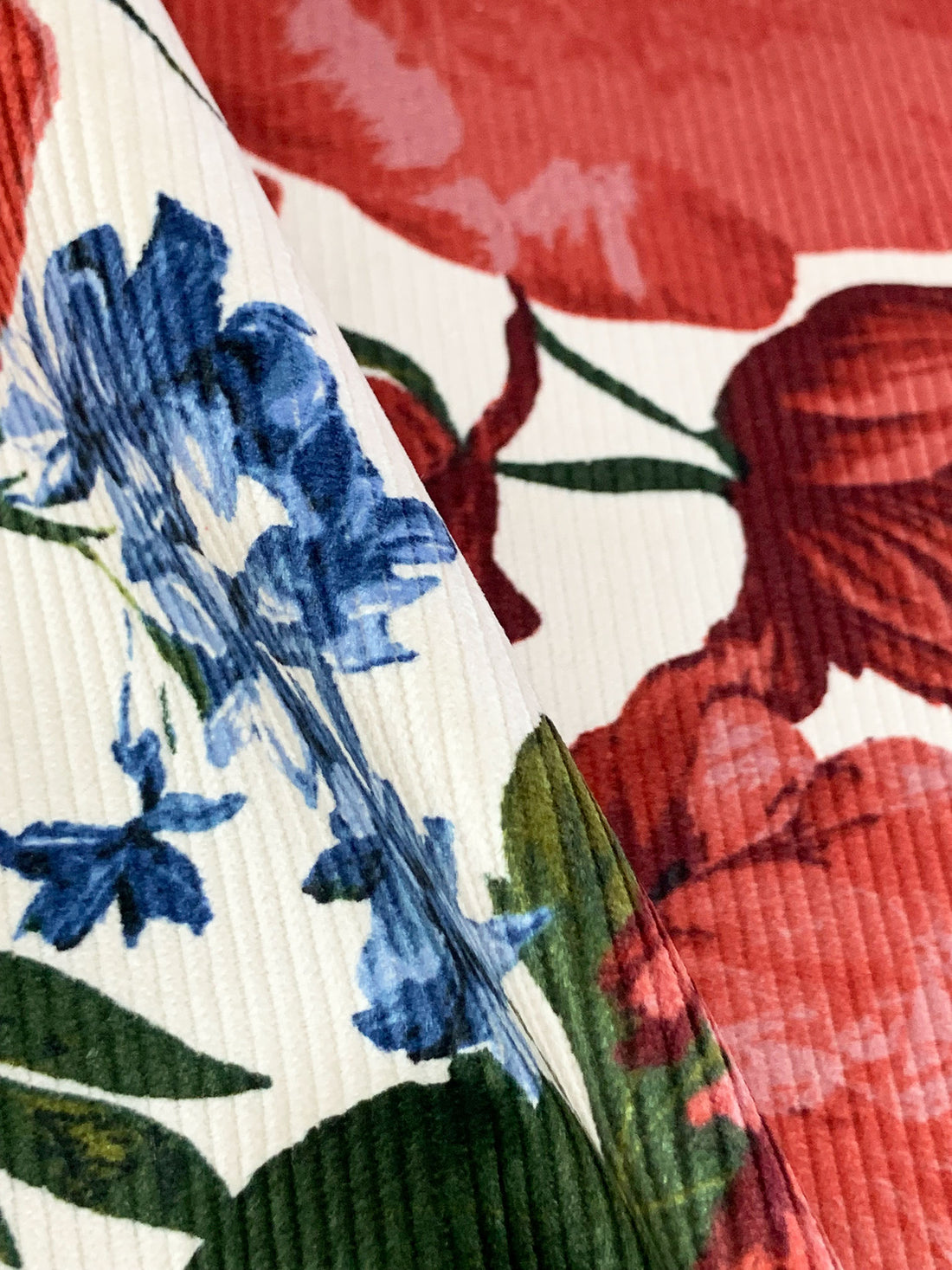 Off-White/Deep Autumn Red/Dark Cerulean/Multi Cotton/Modal/Lycra Berry Floral Print Stretch Corduroy - NY Designer - 51W