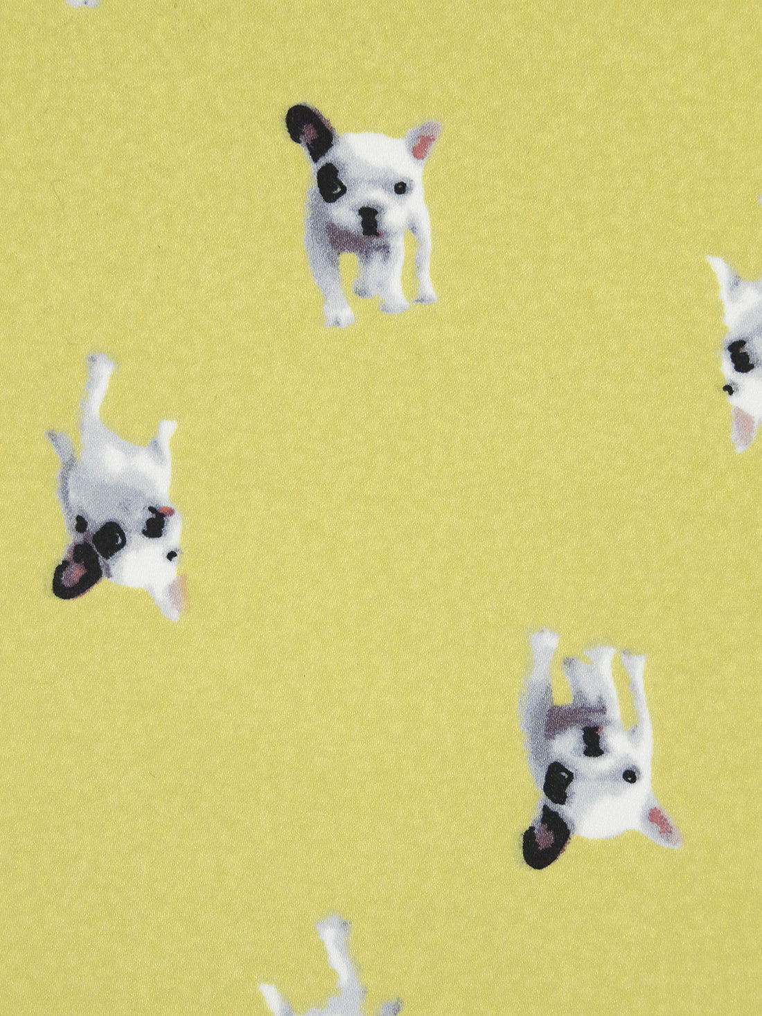 Straw/Gray/White/Multi 100% Polyester Small Dog Print Satin-Faced Chiffon 58W