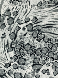 Bone/Dark Slate Gray/Black 100% Polyester Animal Print Satin-Faced Chiffon - Famous Dress Designer - 57W