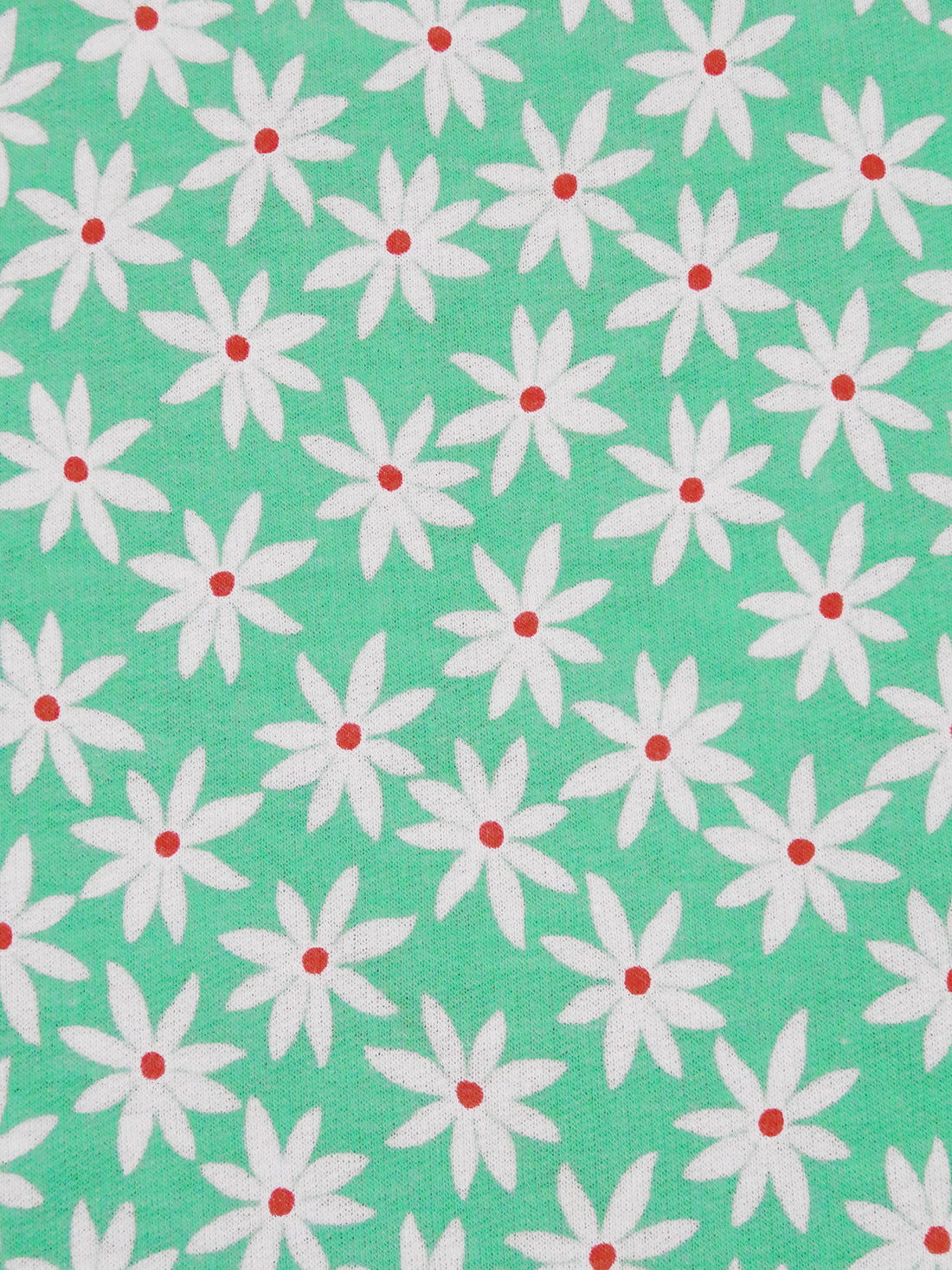 Eucalyptus/Muted Vermilion/White Polyester/Rayon/Lycra Daisy Print French Terry Knit - 59W