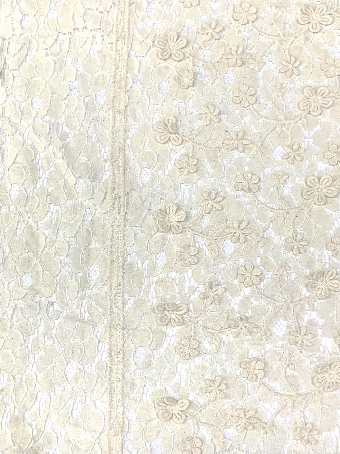 White Chocolate Cotton/Polyester Double Border Embroidered Flower Weave Lace - NY Designer - 54W
