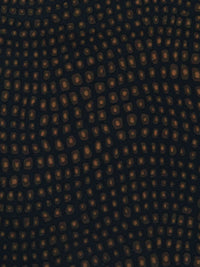 Black/Chocolate/Dark Brown Nylon/Lycra Abstract Dot Wave Print Swimwear Knit 59W