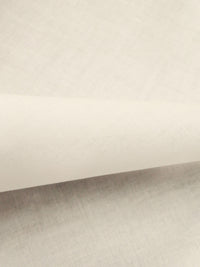 Eggshell 100% Cotton  Broadcloth - Robert Kaufman - 44W